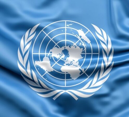 UN and the International Organization
